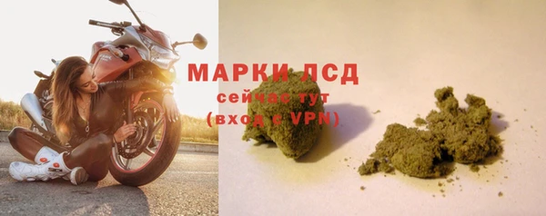 индика Каменск-Шахтинский