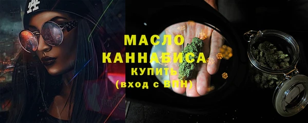 индика Каменск-Шахтинский