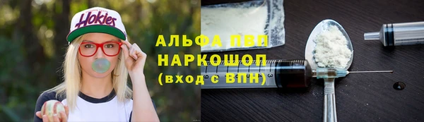 индика Каменск-Шахтинский