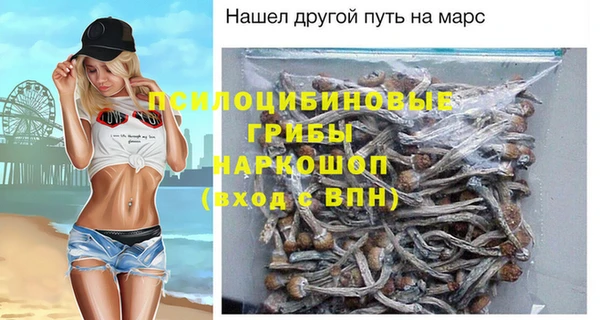 индика Каменск-Шахтинский