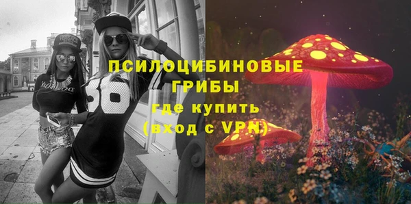 экстази Каменка