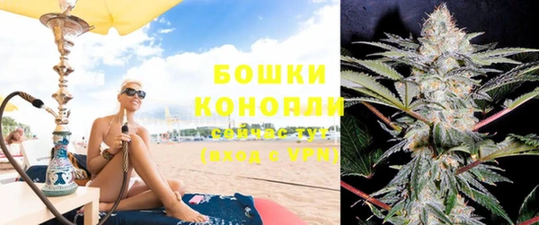индика Каменск-Шахтинский