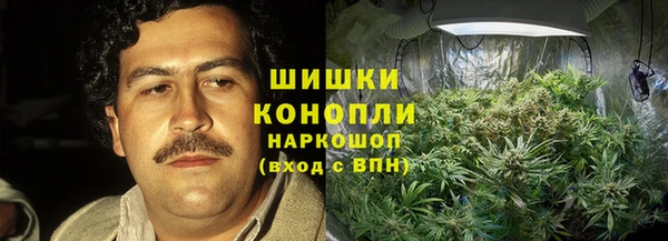 индика Каменск-Шахтинский