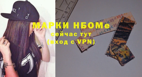 индика Каменск-Шахтинский