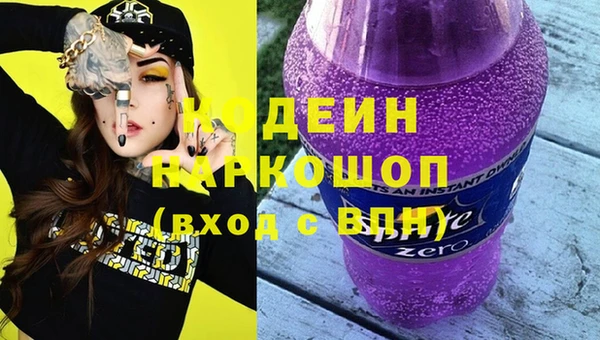 индика Каменск-Шахтинский
