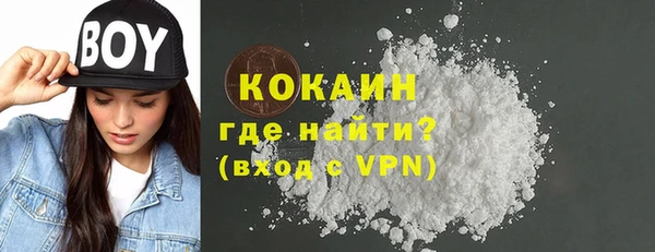 индика Каменск-Шахтинский