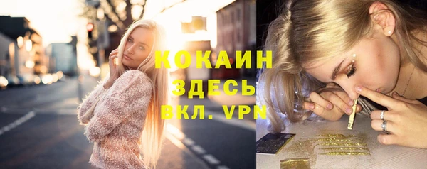 индика Каменск-Шахтинский