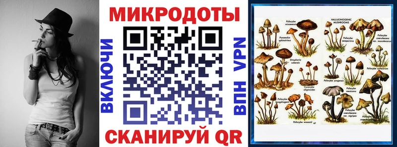 Псилоцибиновые грибы Psilocybine cubensis  Купить  Борисоглебск 